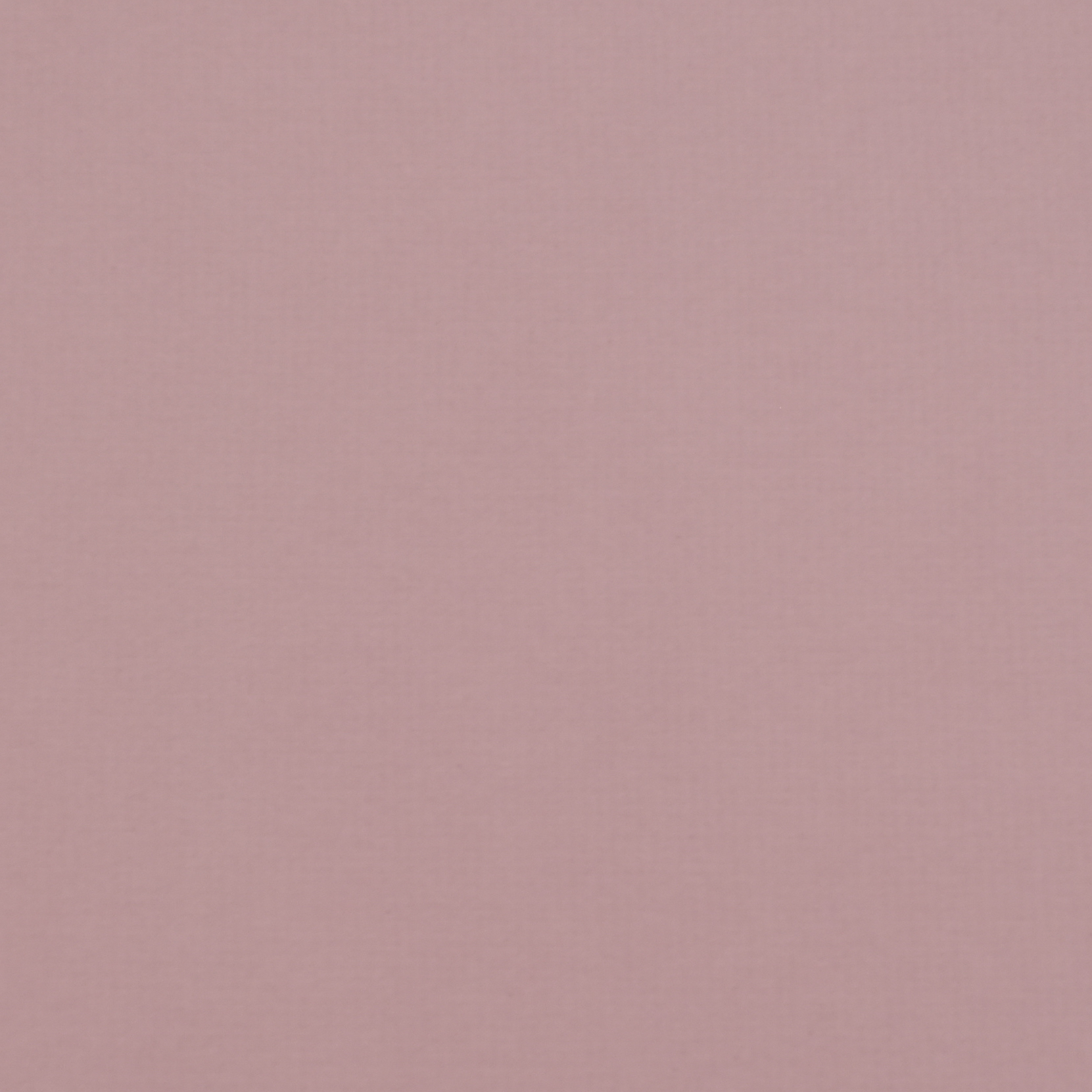 Selected matboard colour is -- Lavender (#26)