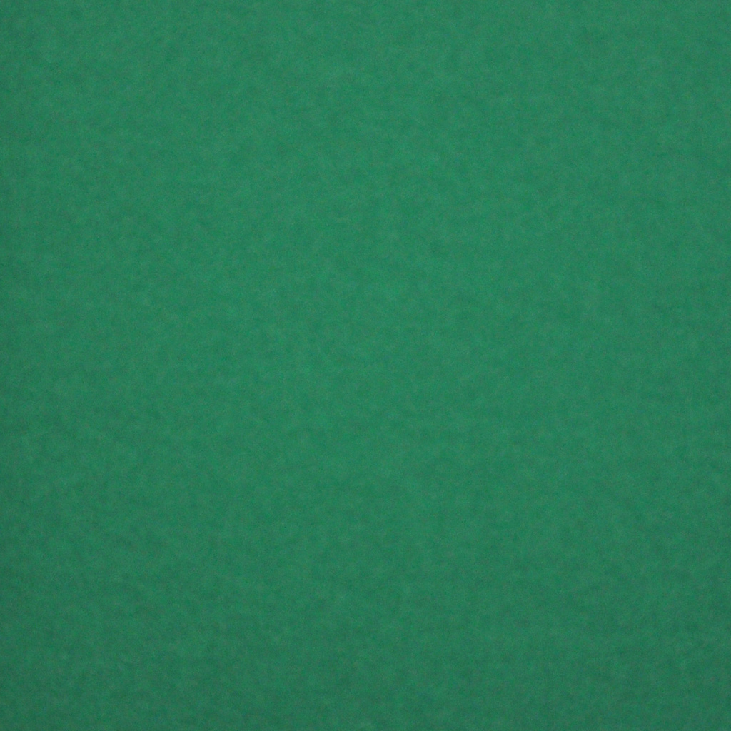 Selected matboard colour is -- Shamrock (#30)